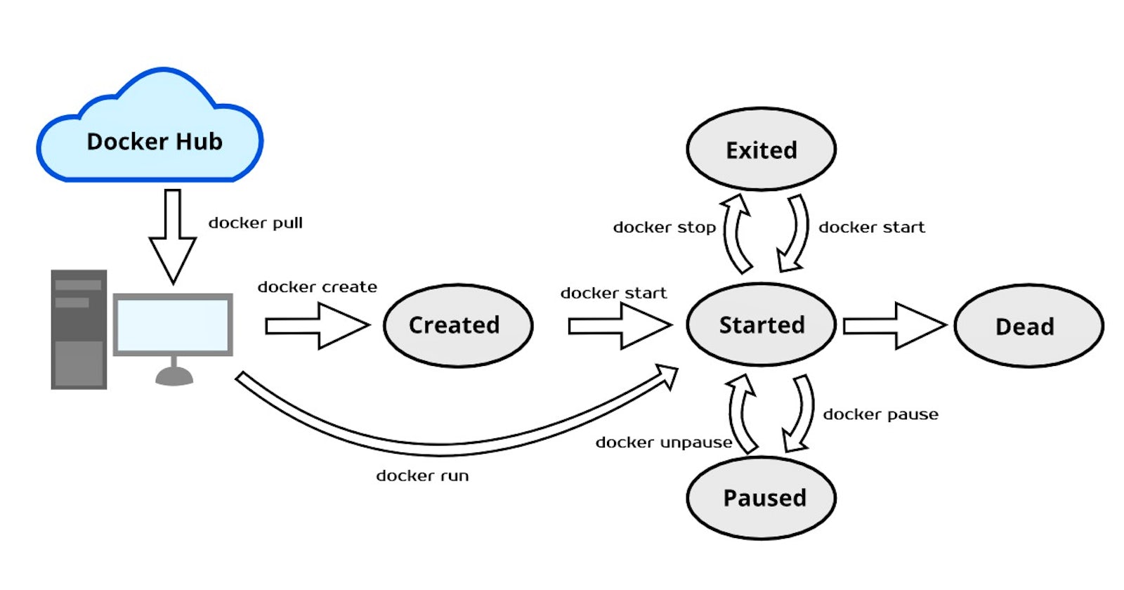 Introduction to The Docker Life Cycle